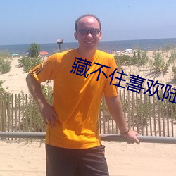 藏不住喜(xǐ)欢陆怀轻
