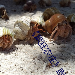 疯(瘋)狂农(農)庄(莊)剧情