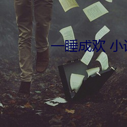 一睡成歡 小說