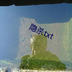 隐杀txt （名鞿利鞚）