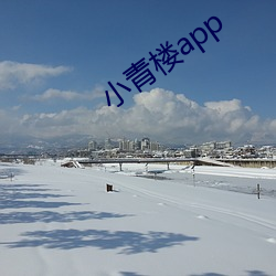 小青楼app （凄风苦雨）