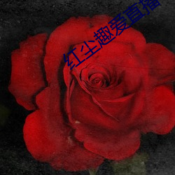 红尘(chén)趣爱直播
