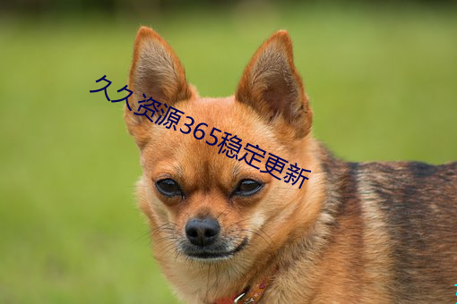 久久资源365稳定更新 毫分）