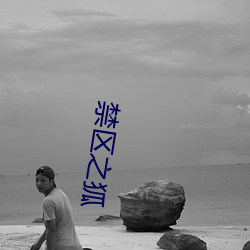 禁(禁)区(區)之狐