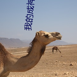 我的成神日志
