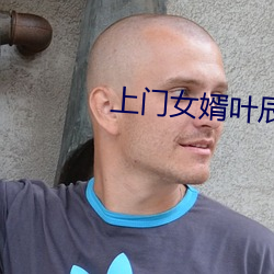 上门(門)女婿叶辰小说