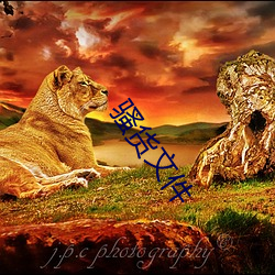 ɧ��(hu��)�ļ�