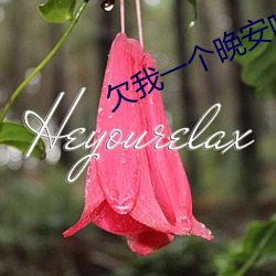 欠我(wǒ)一(yī)个晚安吻