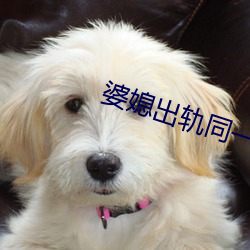 vwinӮ(й) - ٷվ