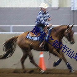 重生之都市仙尊洛尘最(最)新(新)更新