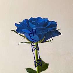 無人區二區