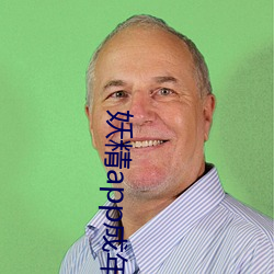 妖精app成年版入口