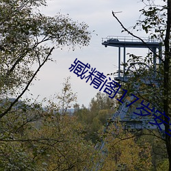 臧精阁17岁(suì)安(ān)全入口