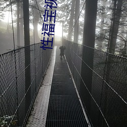 性(性)福宝(寶)视频app污