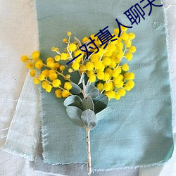 金年会(中国)官方网站