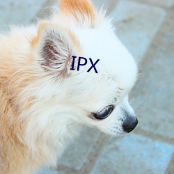 IPX