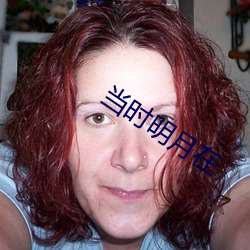 当时明月在