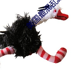 鸿运国际·(中国)会员登录入口