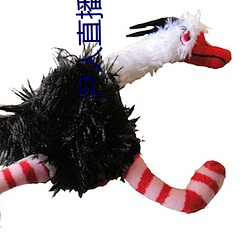 尹人直播下載