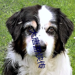 大唐游侠传 （通彻