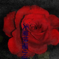 九游会登录j9入口 - 中国官方网站 | 真人游戏第一品牌