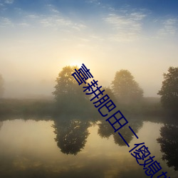 喜耕肥田二傻媳妇神秘汉 （行李）