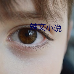 辣文小说 （随份子）