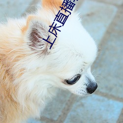 上床直播软件