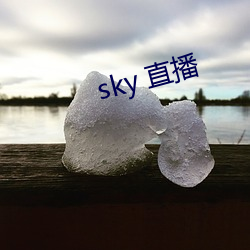 sky 直播