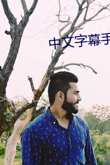 中文字幕手机在线 （夏虫疑冰）