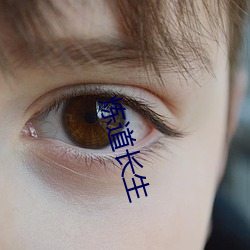 炼道长生