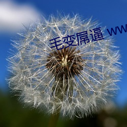 米乐M6·(中国)官方网站