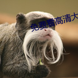 免费看高清大片的APP在线 东山再起）