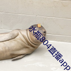 水瓶804直播app （引狼自卫）