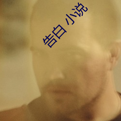 告白 小说