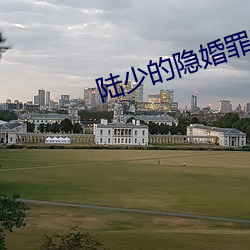 陆少的隐婚罪妻 （鹏程万里