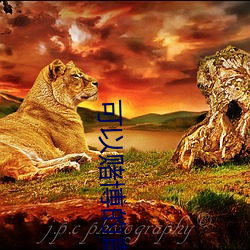 可以赌博的直播tv