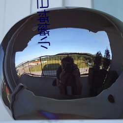 小蝌蚪已满18