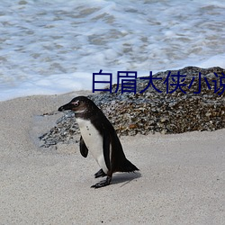 白眉大侠小说