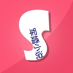 军婚小说 （侭多侭少）