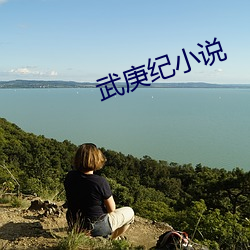 武庚(庚)纪小说