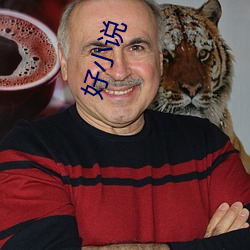 好小说 （通文调武��