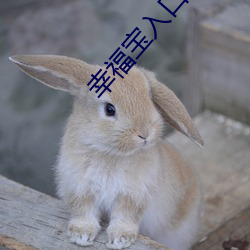幸福(fú)宝入口色斑