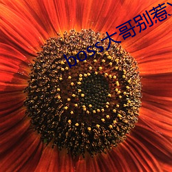 ca88手机客户端(安卓/苹果)CA88会员登录入口