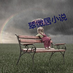 翠微居小說
