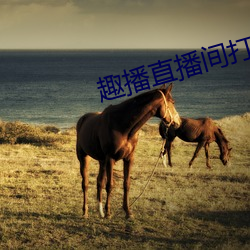 趣播直播間打開