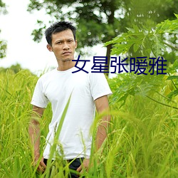 女星张(張)暖雅(雅)
