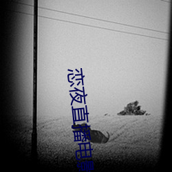 恋夜直播电影