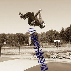 小蝌蚪福导福航app