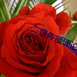 二级传播理论 （肉欲）